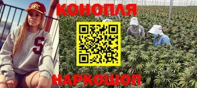 скорость Кингисепп