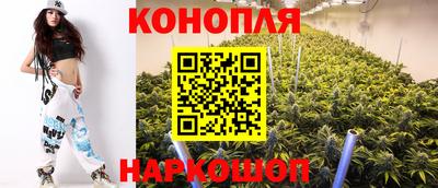 скорость Кингисепп