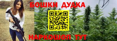 скорость Кингисепп