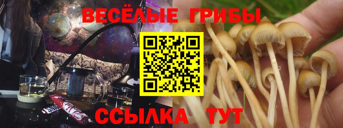 Галлюциногенные грибы прущие грибы Кировск