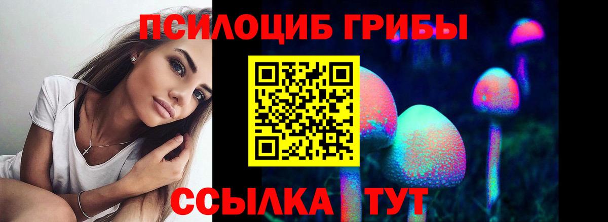 Галлюциногенные грибы мицелий  купить наркотики сайты  Кировск  Вход с VPN 